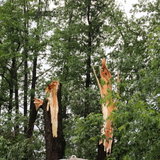 Последствия урагана - 35