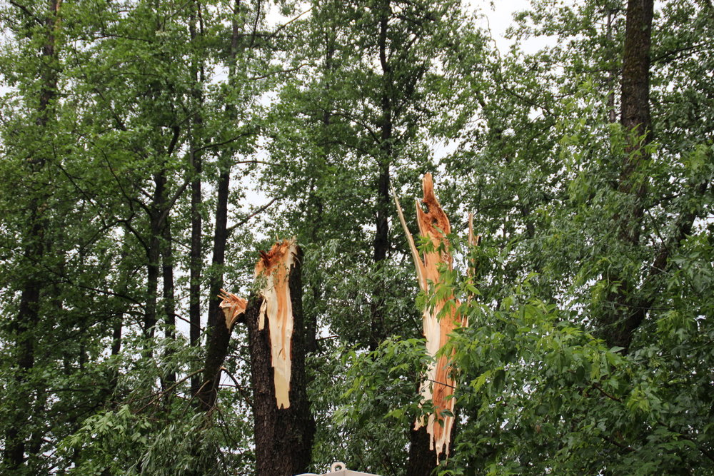 Последствия урагана - 35