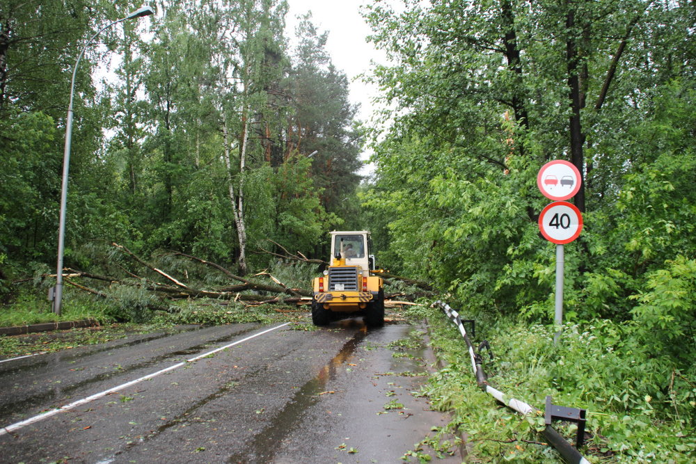 Последствия урагана - 36