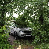 Последствия урагана - 38