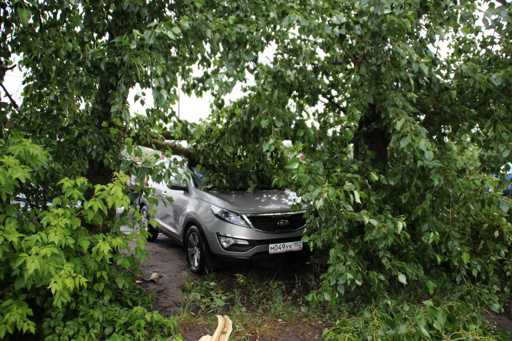 Последствия урагана - 38