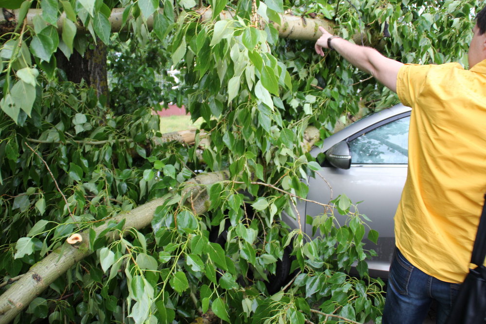 Последствия урагана - 39