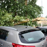 Последствия урагана - 40