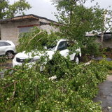 Последствия урагана - 41