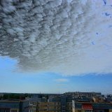 Тучки и ласточки-5