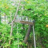 Театр в кустах.jpg