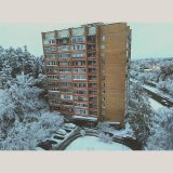 Снег выпал - 2.jpg