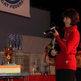 Зимняя сказка 2015 - 51.jpg