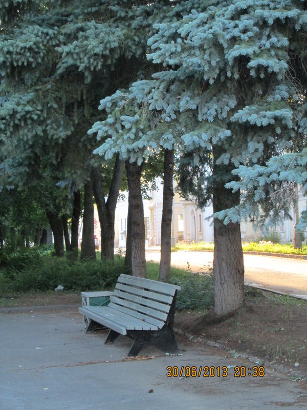 IMG_0292