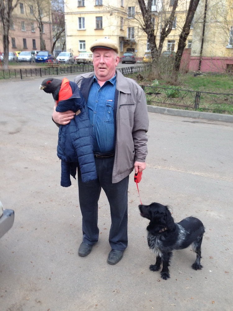 Глухарь в Сарове - 2