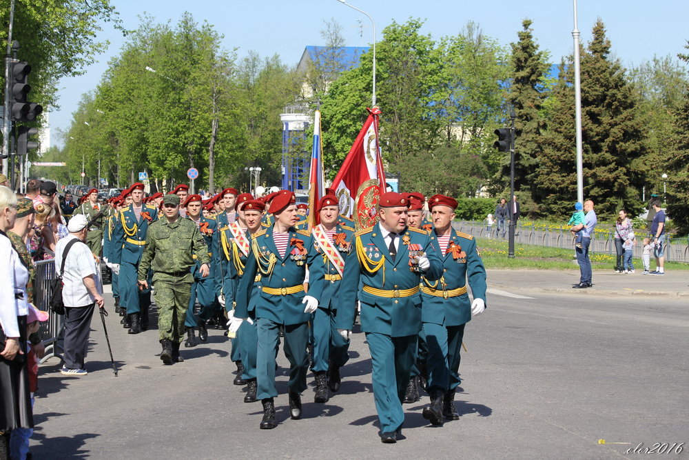 9 мая 2016 - А. Аржанов 08.jpg