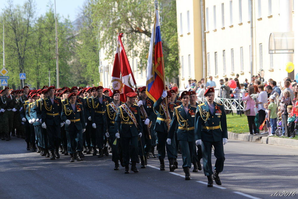 9 мая 2016 - А. Аржанов 33.jpg
