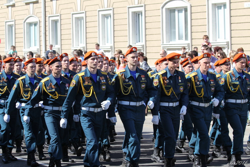 9 мая 2016 - А. Аржанов 43.jpg