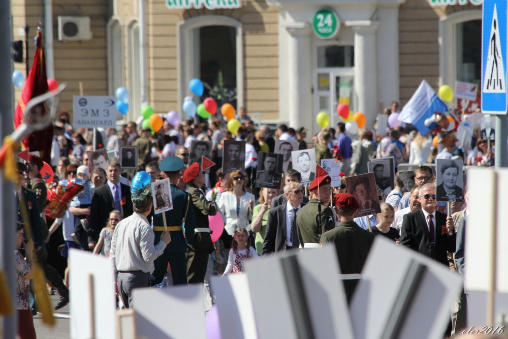 9 мая 2016 - А. Аржанов 46.jpg