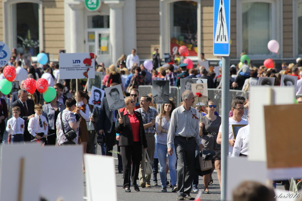 9 мая 2016 - А. Аржанов 48.jpg