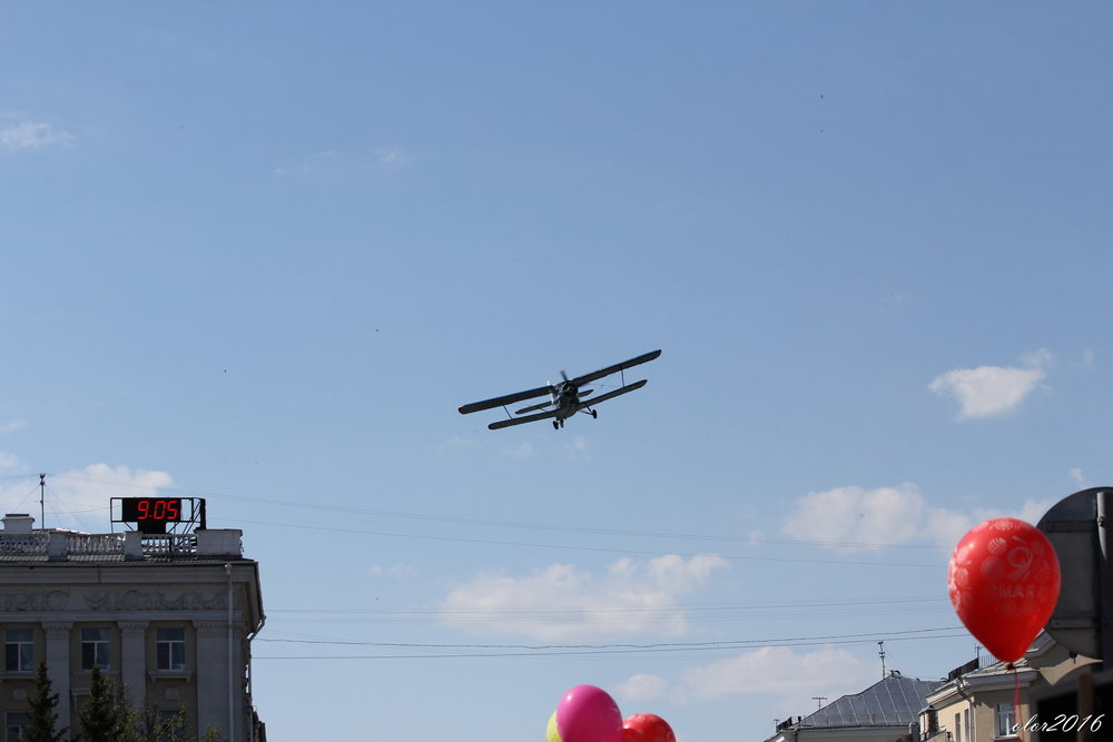 9 мая 2016 - А. Аржанов 51.jpg