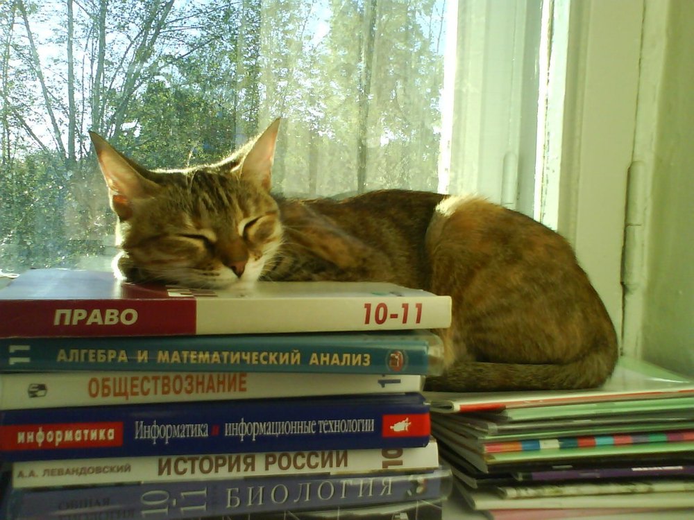 И-03.jpg