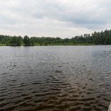 IMGP6647.jpg