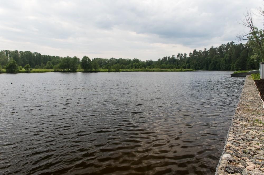 IMGP6647.jpg