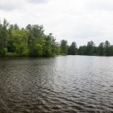 IMGP6648.jpg