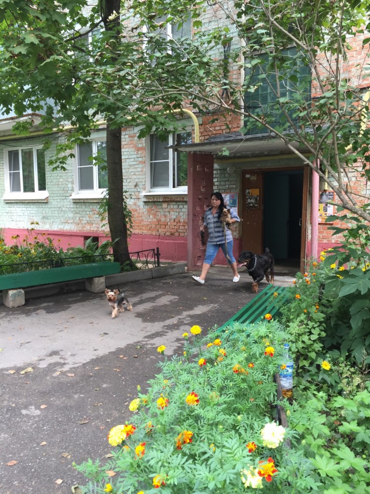 image13