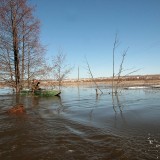 Мордовский заповедник - 06.jpg