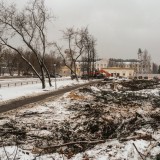 Вырубка - 2