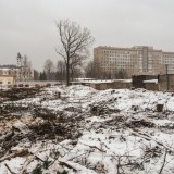 Вырубка - 4
