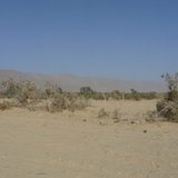 P1000547