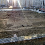 Строительство на месте березовой рощи на Московской