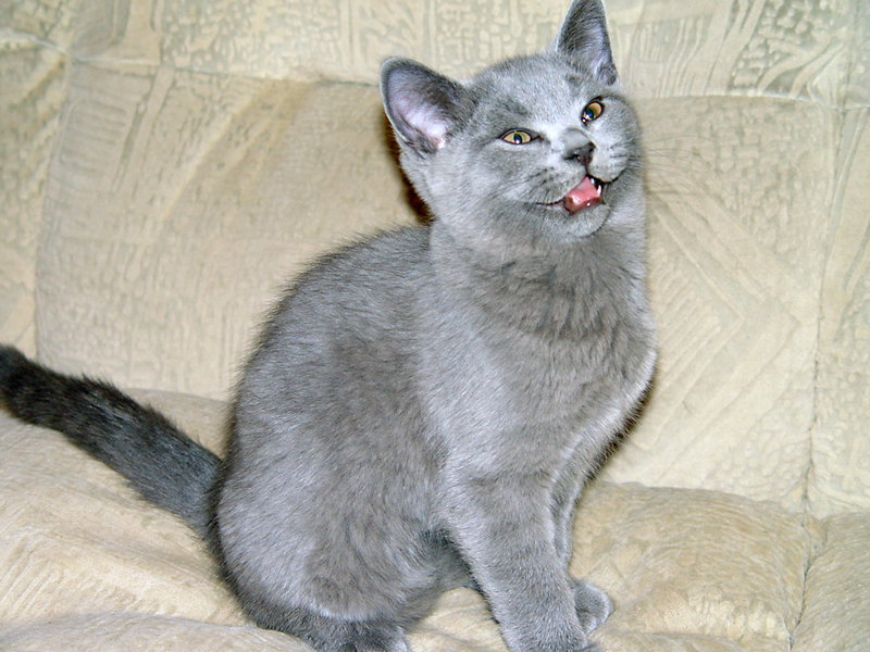 DSC06510