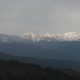 IMG_4421_1