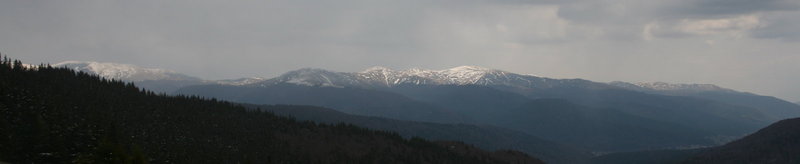 IMG_4421_1