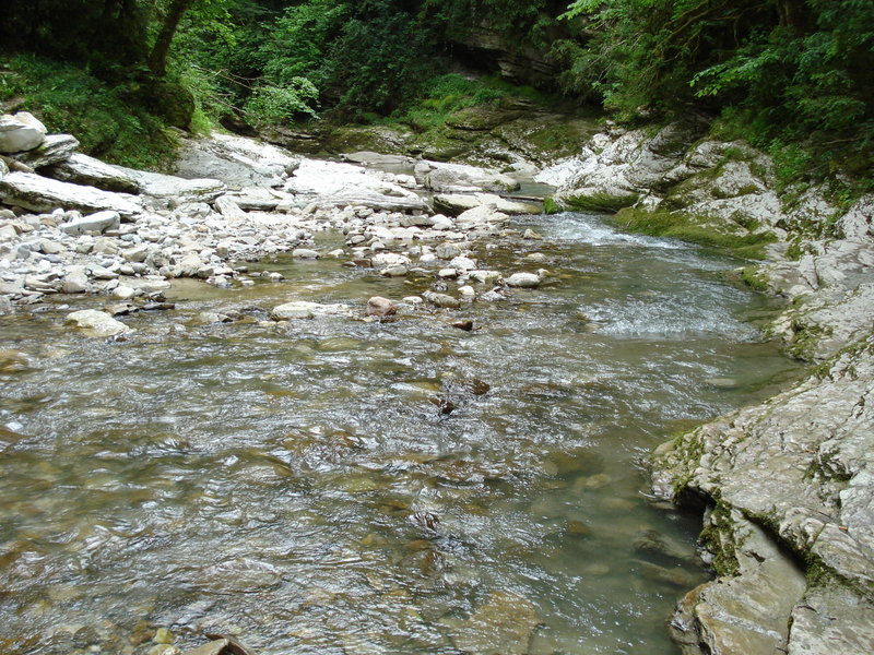 DSC00388