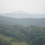 DSC00338