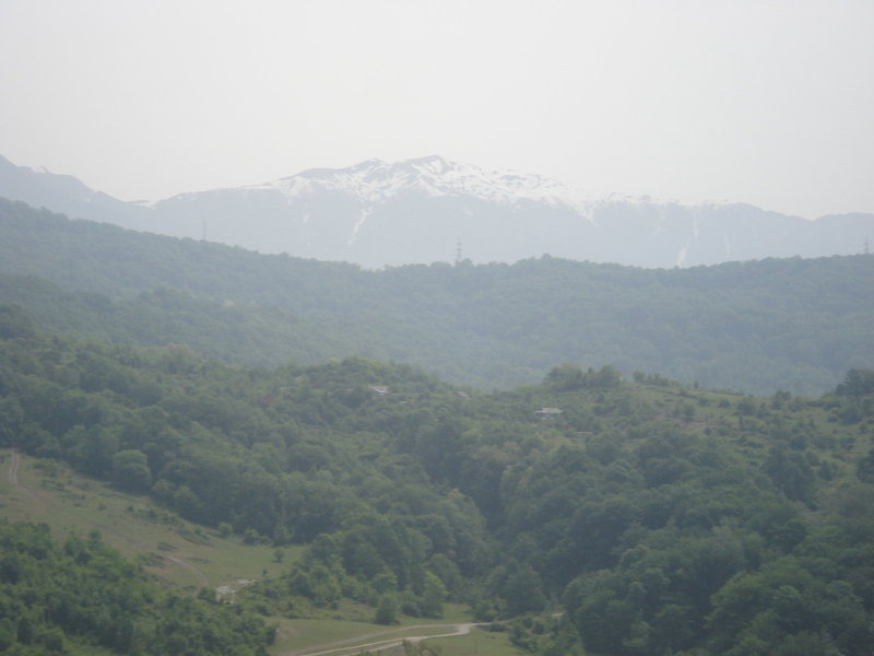 DSC00338