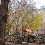 Копия DSC01529