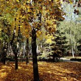 Копия DSC00799