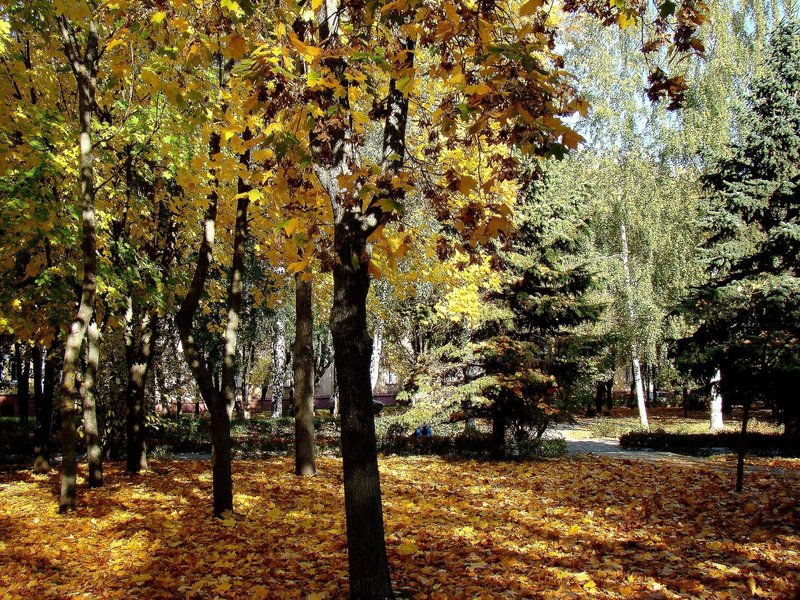 Копия DSC00799