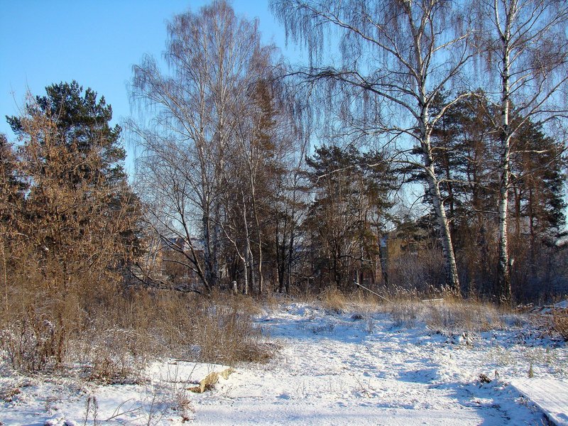 DSC02127