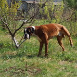 DSC_0946.JPG