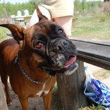 DSC_0953.JPG