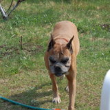 DSC_0958.JPG