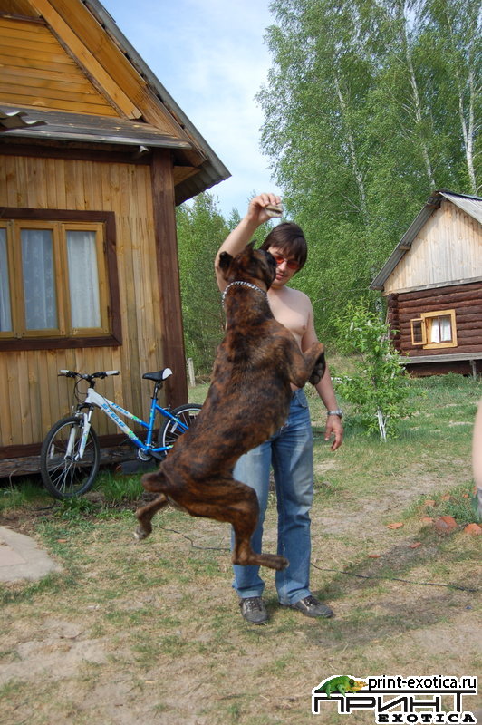 DSC_0974.jpg