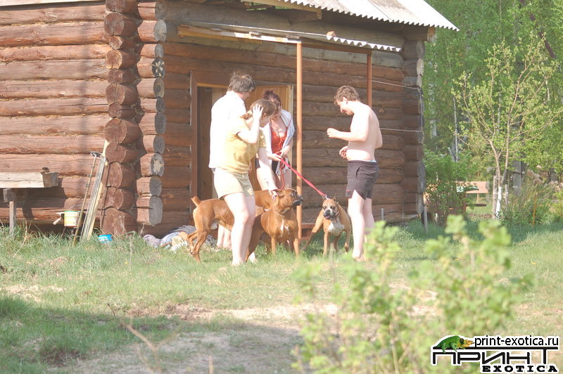 DSC_1035.JPG