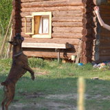 DSC_1044.JPG