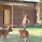 DSC_1046.JPG