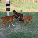 DSC_1052.JPG