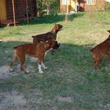 DSC_1053.JPG