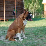 DSC_1056.JPG